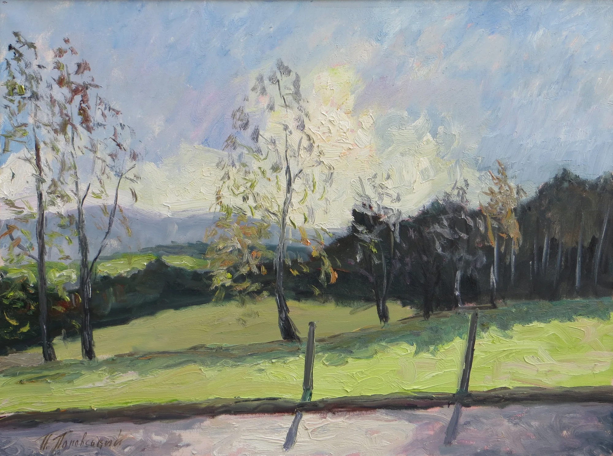 Sunlit Eifel field with slender autumn trees and a dark wooded edge under a blue sky.